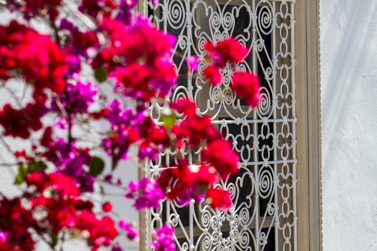 Clémentine Riad 3*