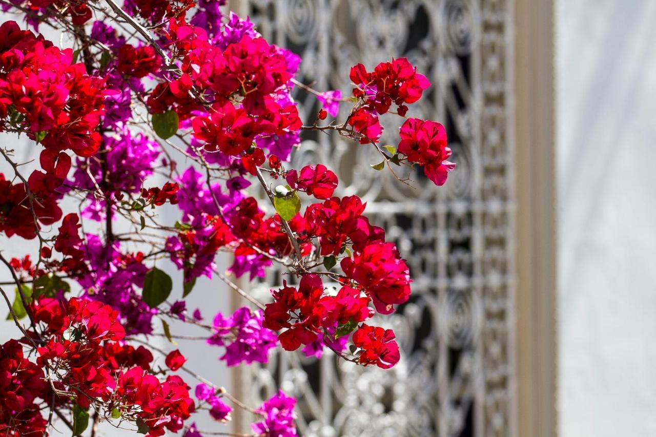 Riad Clémentine